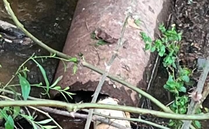 Water Line Repairs Expected to Disrupt Service Wednesday Wednesday, July 1