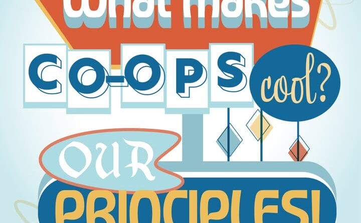 Co-ops thrive on core principles that drive their success What makes co-ops cool?
